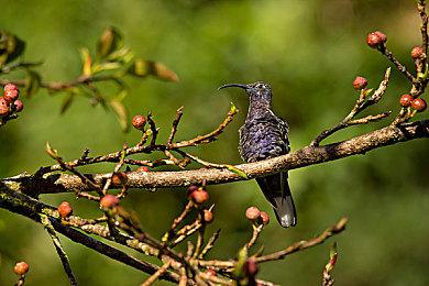 外媒评选PSP上15款最佳游戏 《战神：斯巴达之魂》等